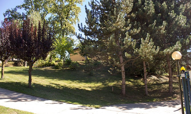 Parco allevamento Le Ombre Verdi Piemonte