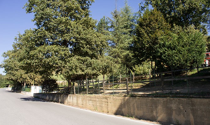 Parco allevamento Le Ombre Verdi Piemonte Pocapaglia