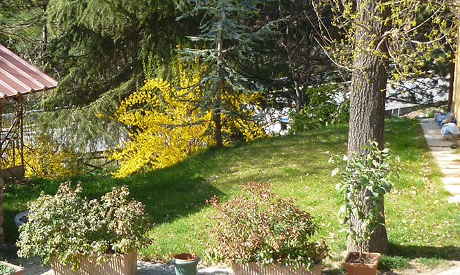 Giardino e natura per allevamento cani Le Ombre Verdi