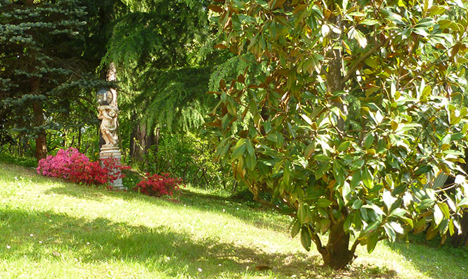 Giardino e natura per allevamento cani Le Ombre Verdi Cuneo