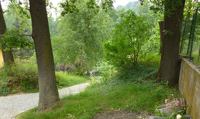 Giardino e natura per allevamento cani Le Ombre Verdi provincia di Cuneo